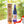 Load image into Gallery viewer, [Born] Ginsen Junmai Daiginjo Sake 16% (720ml)
