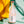 Load image into Gallery viewer, [Hakutsuru] Sayuri Nigori 12.5% (720ml) - Yukiyama.sg
